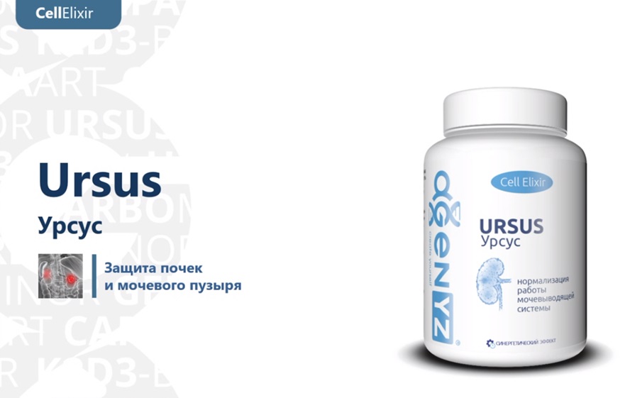 БАД Урсус - способствует улучшению работы мочевыводящей системы, защиты почек и мочевого пузыря. Купить БАД Урсус на naturalbad.ru +79232402575